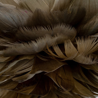 Close-up detail of the layered fawn feathers, showing the soft, fibrous texture and varying brown tones.
