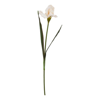 Plain front-on view of a single artificial iris stem with a pale apricot flower and two dark green leaves.