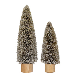 Medium cone brush tree shown next to a smaller version, both frosted brown and standing on wooden bases.