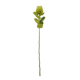 Full length view of the artificial banksia stem with a lime green textured flower and large green foliage.