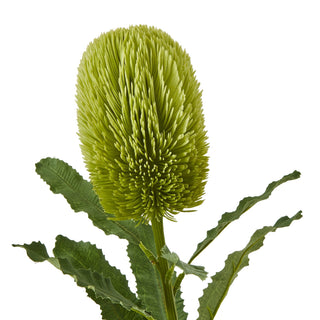 Close-up detail of the artificial banksia flower head, showing the bright lime green colour and spiky texture.