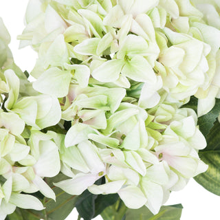 Close up detail of the artificial pale green and white hydrangea petals and texture.
