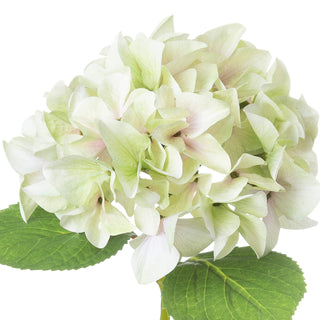 Close-up of the artificial hydrangea flower head, highlighting the pale green and white petals.