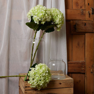 Three green hydrangea stems displayed with glass vases on a wooden crate in a rustic setting.