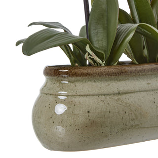 Close-up of the speckled, crackle-glazed ceramic pot with a contrasting brown rim, showing the artificial orchid leaves.