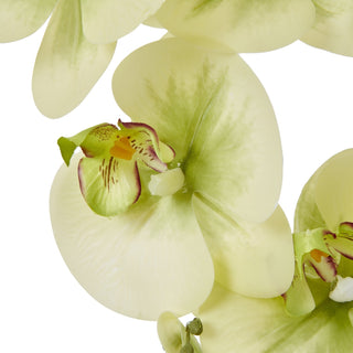 Close-up of the artificial pale green orchid bloom showing the detailed texture and the green and burgundy centre.