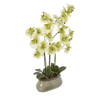 Full product shot of the artificial green orchid showing the dense blooms and the oblong, glazed ceramic pot.