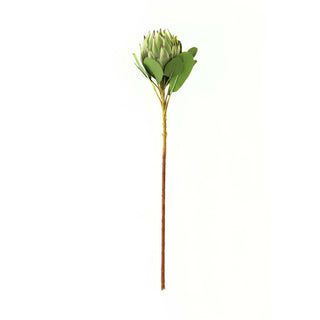 Plain front-on product shot of a faux green protea stem with a closed flower head and large leaves.