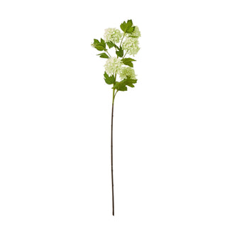 Artificial green viburnum stem with snowball flower clusters and leaves. Full length studio shot.
