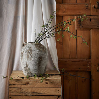 Green berry willow stems arranged in a large rustic vase on a wooden crate against a sheer curtain and wooden door.