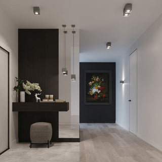 Grey cubic ceiling light fixture used in a modern monochrome hallway with dark wood console and artwork.