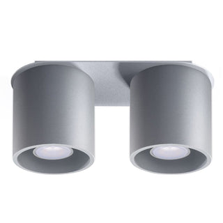 Grey ceiling lamp with two cylindrical downlights mounted on a rectangular fixture base.