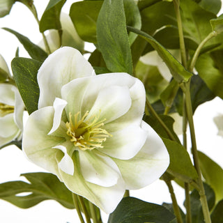 Close-up of the artificial hellebore bloom showing the yellow centre and pale green tint on the white petals.