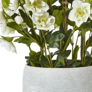 Upper rim of the textured grey pot with artificial white hellebore flowers and green stems emerging.