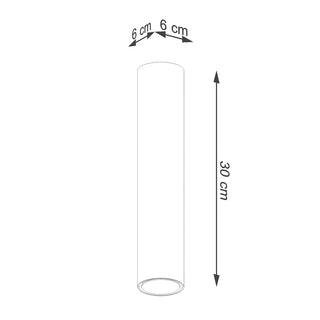 Line drawing showing the dimensions of the cylindrical ceiling light: 30 cm high and 6 cm diameter.