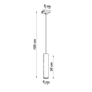Technical line drawing showing the lamp dimensions: 100 cm total drop, 30 cm shade length, 6 cm diameter.
