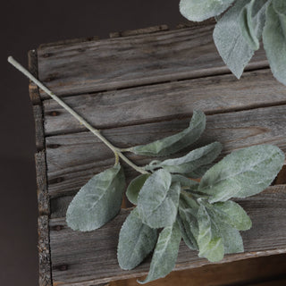 Close-up of the fuzzy, grey-green leaves and stem of the artificial lambs ear spray lying on distressed wood.