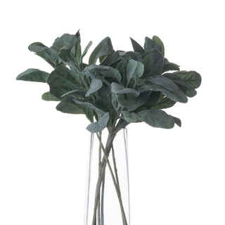 Grey-green fuzzy lambs ear stems arranged in a clear glass cylinder vase.