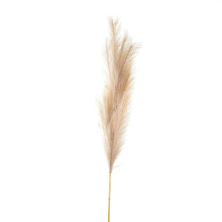 Single bleached faux pampas grass stem with a fluffy beige plume on a thin stalk, shown front-on.