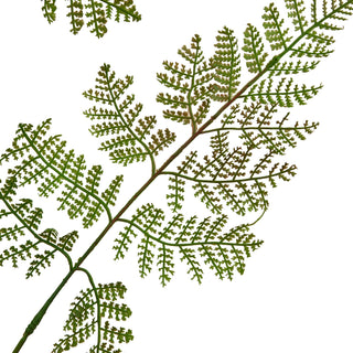 Close detail of the artificial bracken fern frond, showing the intricate texture of the green and reddish-brown leaflets.