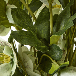 Close-up detail of the artificial hellebore showing textured dark green leaves and pale speckled flowers.