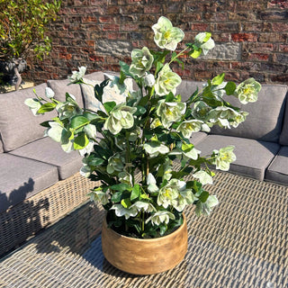 Artificial hellebore on an outdoor rattan table, with grey seating and a brick wall behind.
