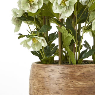 Close-up of the artificial hellebore showing the textured taupe pot and pale speckled flowers.