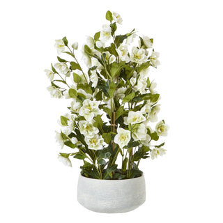 Plain front-on view of the large artificial white hellebore in a textured grey pot.