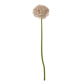 Single artificial lilac allium stem with a spherical head and long green stem on white.