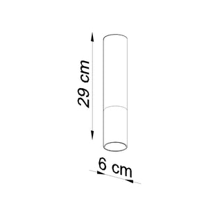 Line drawing showing the cylindrical lamp body dimensions: 29 cm height and 6 cm diameter.
