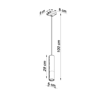 Technical diagram of the pendant light showing dimensions: 100 cm drop, 29 cm height, and 6 cm diameter.