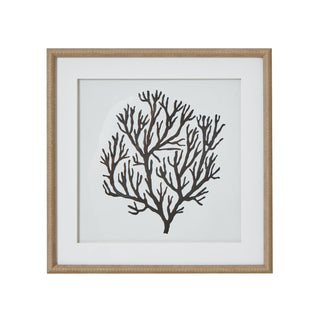Lucidora - Atol Coral Art Mounted In Beaded Frame - Art & Printed