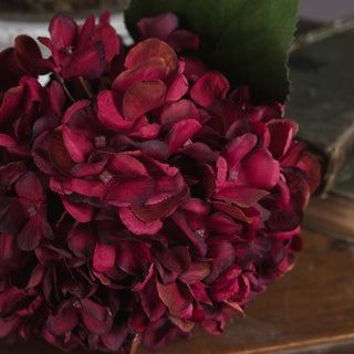 Lucidora - Autumn Ruby Hydrangea - Single Stems