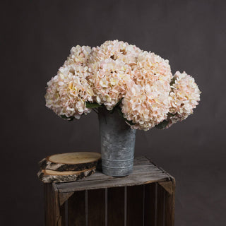 Lucidora - Autumn White Hydrangea - Single Stems