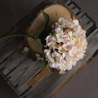 Lucidora - Autumn White Hydrangea - Single Stems