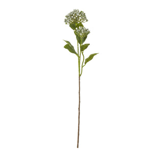 Lucidora - Blue Budding Hydrangea Spray - Single Stems