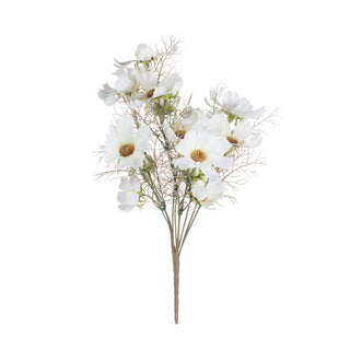 Lucidora - Cream Cosmos Spray - Single Stems
