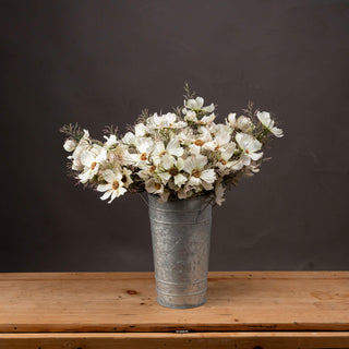 Lucidora - Cream Cosmos Spray - Single Stems