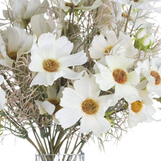 Lucidora - Cream Cosmos Spray - Single Stems