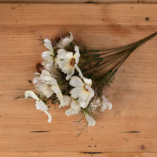 Lucidora - Cream Cosmos Spray - Single Stems