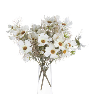 Lucidora - Cream Cosmos Spray - Single Stems
