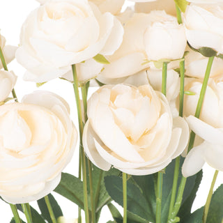 Lucidora - Cream Ranunculus - Single Stems