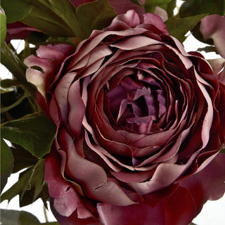 Lucidora - Dusty Pink Spray Rose Peony - Single Stems