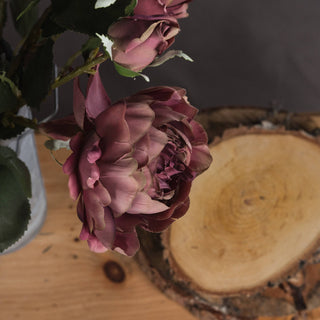 Lucidora - Dusty Pink Spray Rose Peony - Single Stems