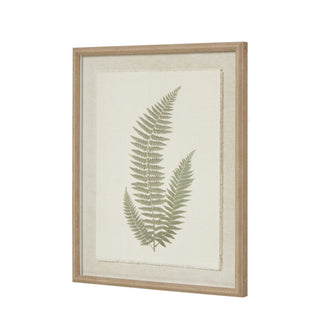 Lucidora - Fern Art On Texture - Torn Paper With Beaded Frame - Art & Printed