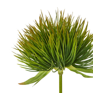 Lucidora - Green Moss Stem - Single Stems
