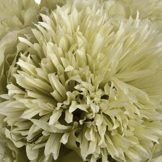 Lucidora - Green Peony - Single Stems