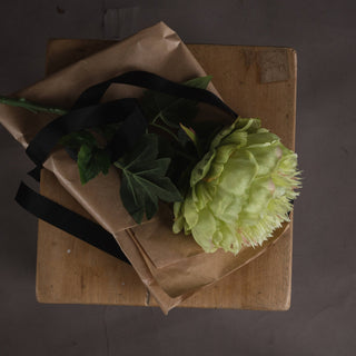 Lucidora - Green Peony - Single Stems