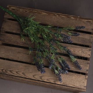 Lucidora - Large Lavender Bush - Single Stems