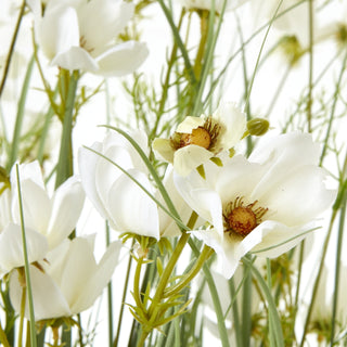 Lucidora - Large White Meadow Plant In Pot - Potted Plants